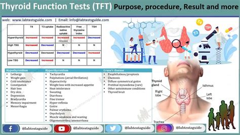 Thyroid Function Tests Purpose, Procedure, Results and more