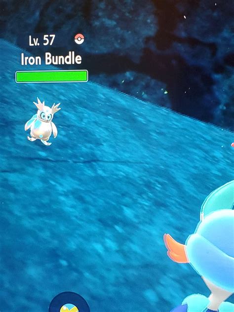 [gen9] only the second iron bundle i see and it's a shiny and it is a ...