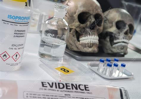 Forensic analysis of human remains - Stock Image - F037/8060 - Science ...