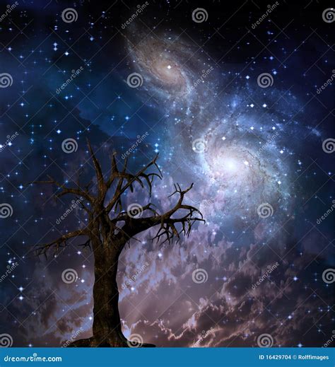 Cosmic Tree Stock Images - Image: 16429704