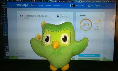 Duolingo Mascot Costume