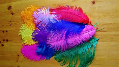 OSTRICH HERL FEATHERS-ARTS & CRAFTS, HAT MAKING, DECORATIVE, FLY TYING ...