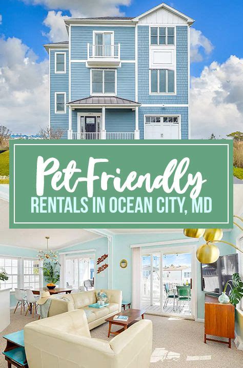 The Best Pet-Friendly Vacation Rentals in Ocean City, Maryland | Pet friendly vacations, Pet ...