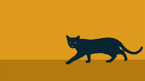 Get Inspired For Black Cat Minimalist Wallpaper pictures