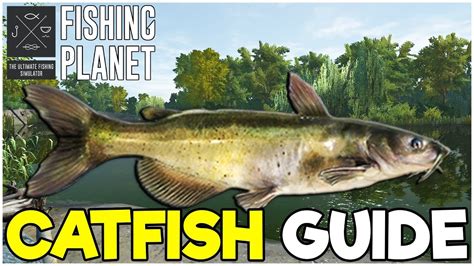 CATFISH Fishing Guide! - Fishing Planet Tips - YouTube