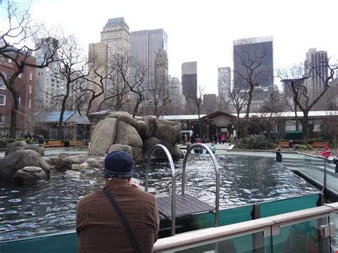 Stu @ the Zoo: Central Park Zoo - New York City