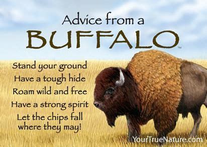 Buffalo Quotes - ShortQuotes.cc