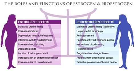 Estrogen Pills For Weight Loss - crgala