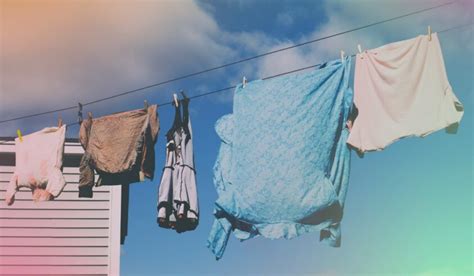 The Ultimate Guide to Line Dry: What It Means for Your Laundry