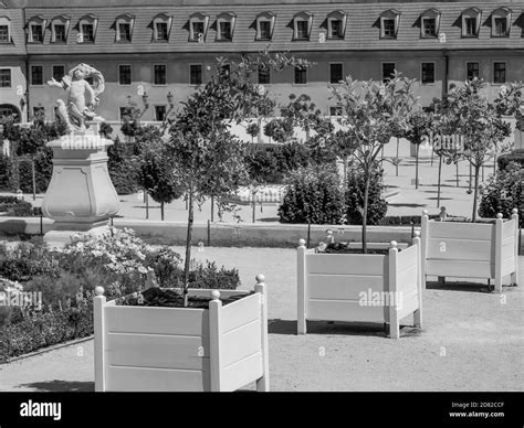 bratislava at the danube river Stock Photo - Alamy