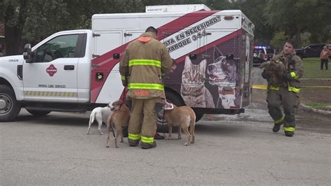 Several animals rescued after house fire on city's north side | kens5.com