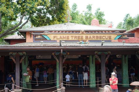 Best Places to Eat in Animal Kingdom [Dining Guide: Disney Restaurants]