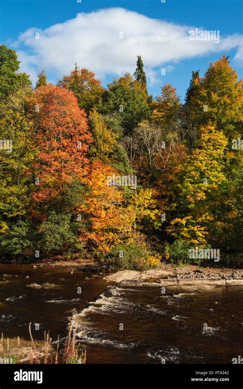 Autumn colours on the River Ericht, Blairgowrie, Perthshire, Scotland ...