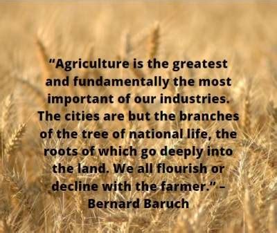 10+ Inspirational quotes on agriculture - dpquotes