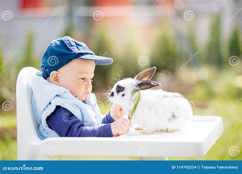 Cute Little Baby Boy, Child Feeding Little Bunny with Carrots Stock Photo - Image of carrots ...