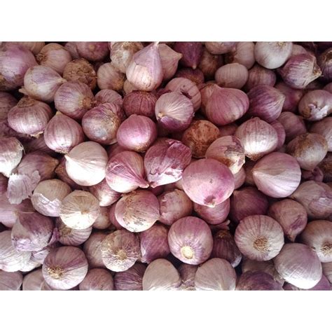 Jual bawang putih tunggal 1kg | Shopee Indonesia