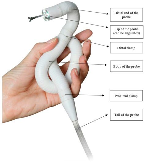 Diagnostics | Free Full-Text | Robotic Colonoscopy and Beyond: Insights into Modern Lower ...