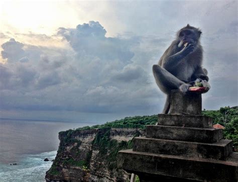 Uluwatu monkey temple, Bali Indonesia | Temple bali, Bali, Bali indonesia