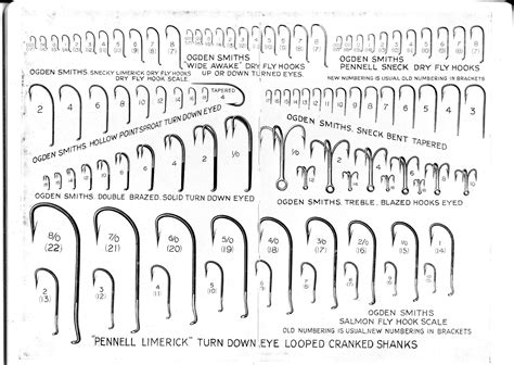 Fishing Hooks Sizes Guide
