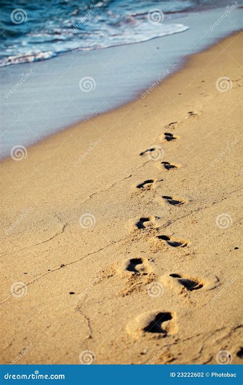 Footprints on sand beach stock photo. Image of black - 23222602