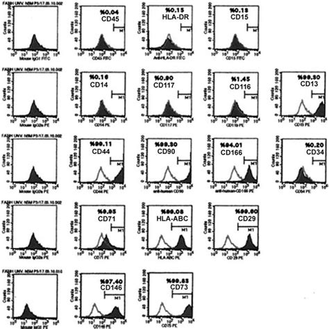 Representative flow cytometry analysis of cell surface markers in ...