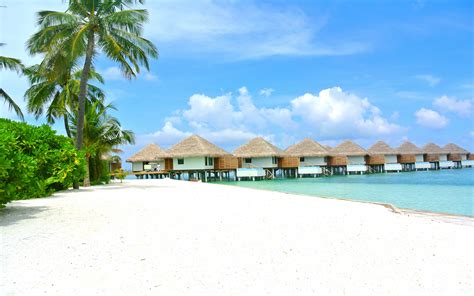 Diffushi Island Coconut Resort White Sand Beach Maldives Kaafu Atoll ...