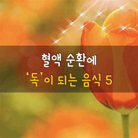 잡부정보: