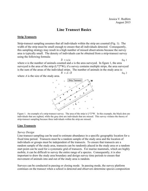 Line Transect Basics