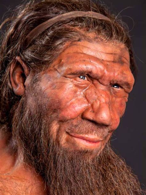 Scientists Identify Neanderthal Genes in Modern Human DNA ...