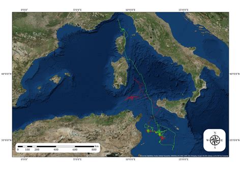 Research confirms perilous fin whale migration across busy shipping lanes