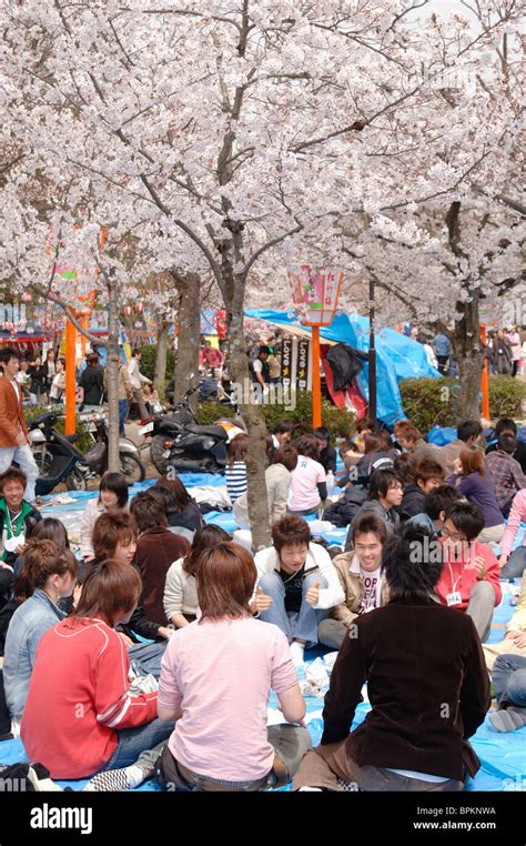 Maruyama Park, Kyoto, Japan Stock Photo - Alamy