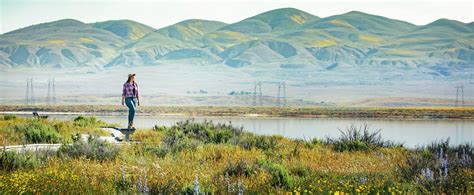 Spring Wildflowers at Carrizo Plain National Monument — Flying Dawn Marie | Travel blog, guides ...