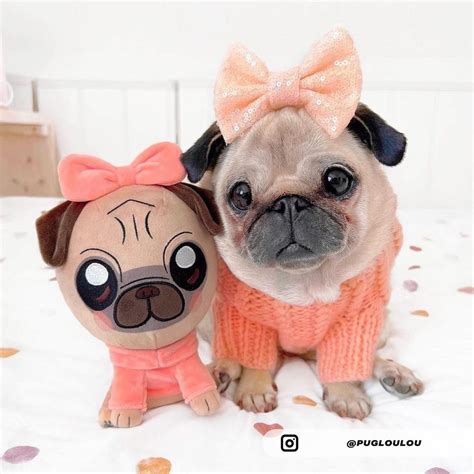 Loulou the Pug plush | Makeship