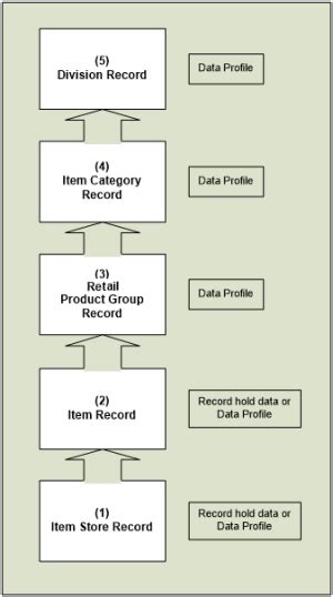 Data Hierarchy