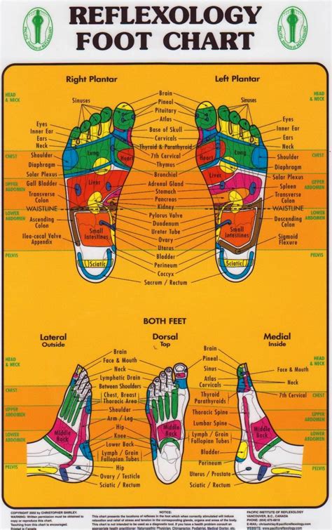 FOOT - Reflexology (PHOTO ONLY) Reflexology Foot Chart, Lymph Massage, Face Massage, Reiki ...