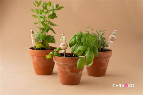 DIY Tutorial: Plant Name Tags – Cara & Co.