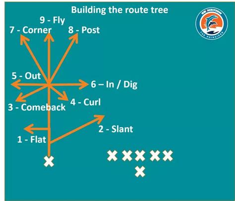 Football 101: Wide receiver route tree - The Phinsider | Football 101, Route, Football