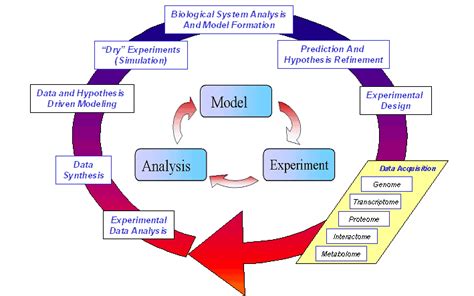 Labs' systems -informatics