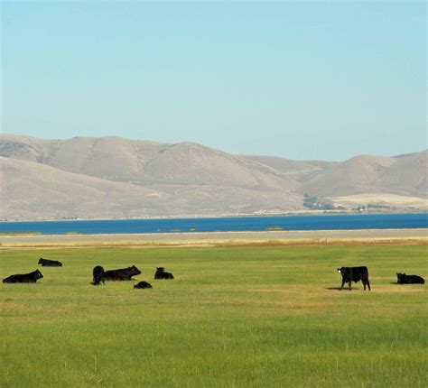 P9200042 | Bear Lake, Fish Haven, ID. | Roundabout With Scout | Flickr