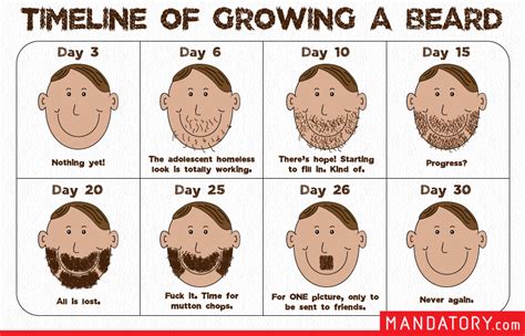 Timeline of growing a beard : r/funny