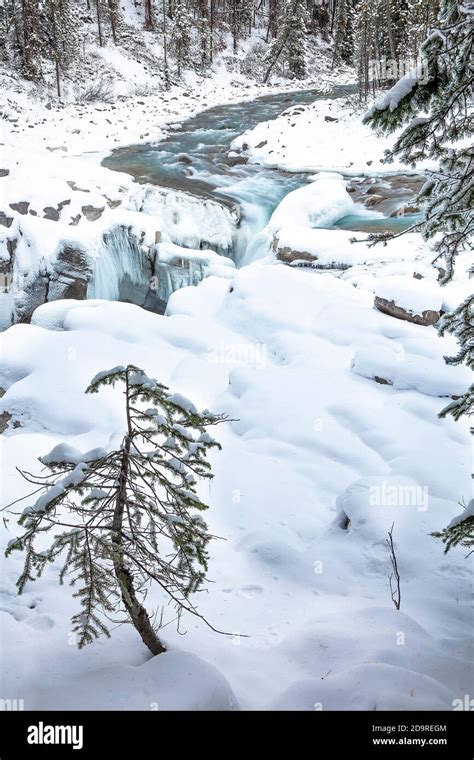 Sunwapta Falls in winter Stock Photo - Alamy