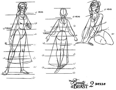 Belle Model Sheet - Disney Princess Fan Art (34615890) - Fanpop