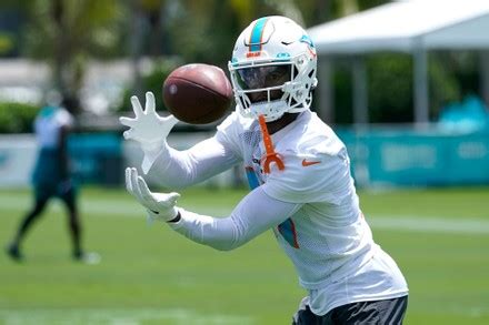 Miami Dolphins Wide Receiver Cedric Wilson Editorial Stock Photo ...