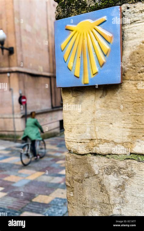 Scallop, symbol of the Camino de Santiago pilgrimage route, Santiago de ...