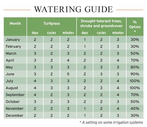 Effective Watering Schedule For Garden Plants - Garden Lessons