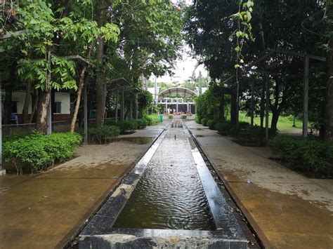 Pasig Rainforest Park: Pasig's Green Getaway - The Urban Roamer