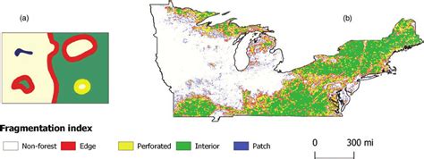 Forest fragmentation classification using morphological image ...