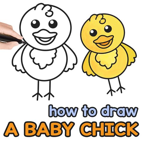 Share more than 82 baby chick sketch latest - seven.edu.vn