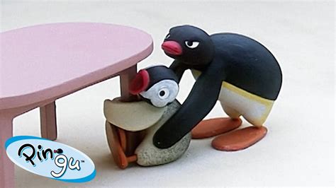 Pingu and Pinga 🐧 | Pingu - Official Channel | Cartoons For Kids - YouTube