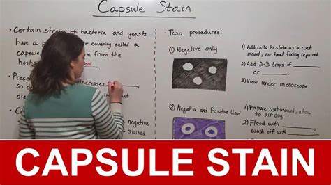 Capsule Stain Procedure